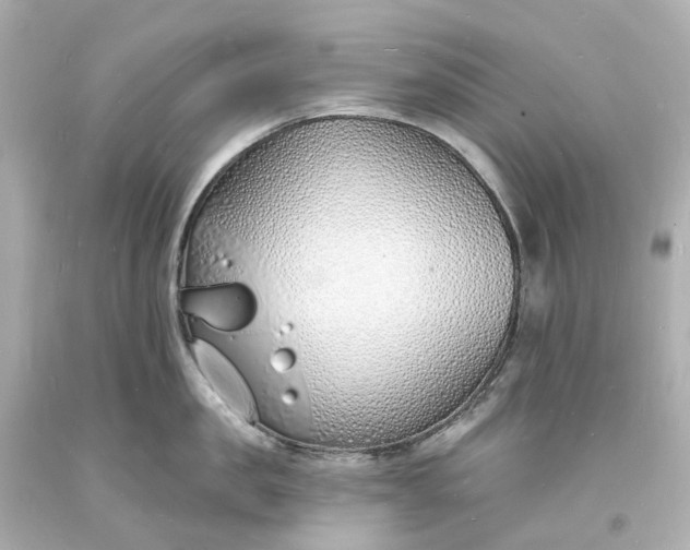 X0000093600957200710291141