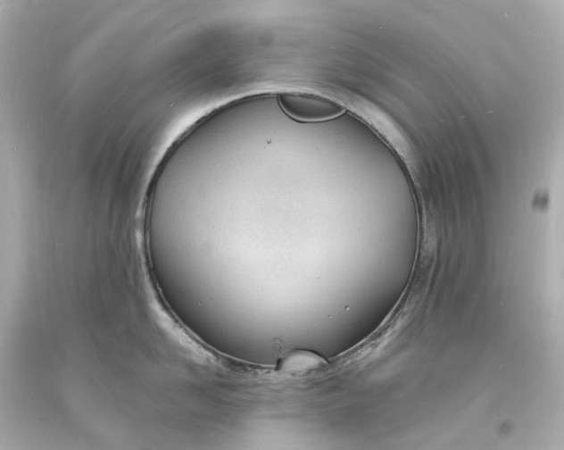 X0000093600958200710291141