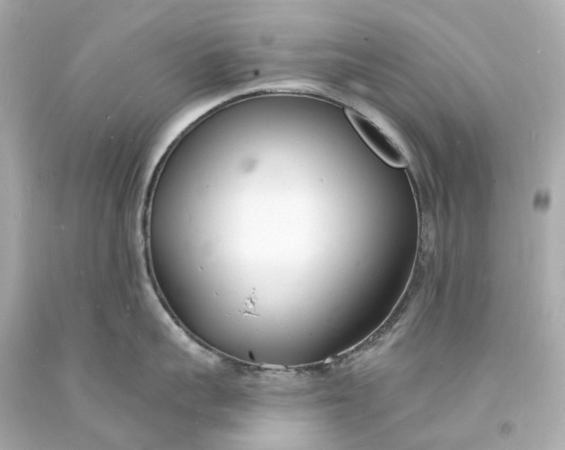 X0000093600959200710291141