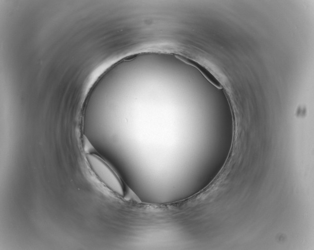 X0000093600960200710291141