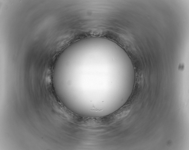 X0000093600962200710291140