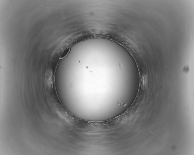 X0000093600963200710291140