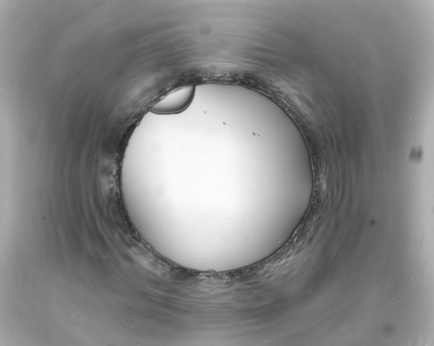 X0000093600964200710291140