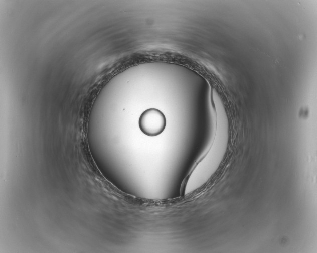 X0000093600965200710291140