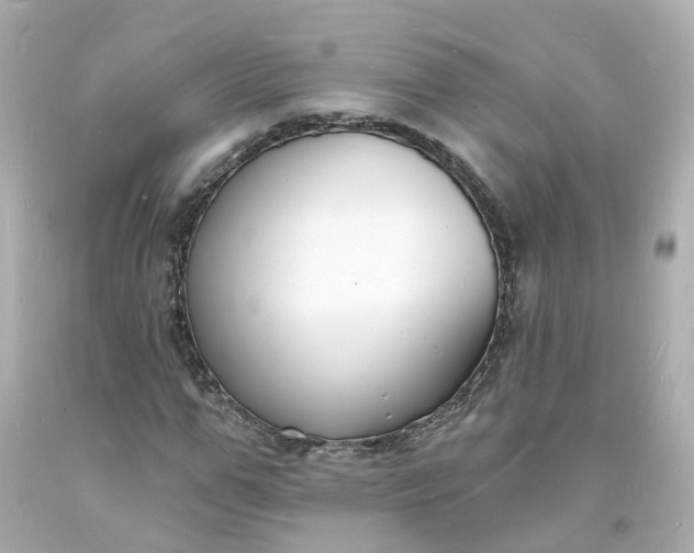 X0000093600967200710291140