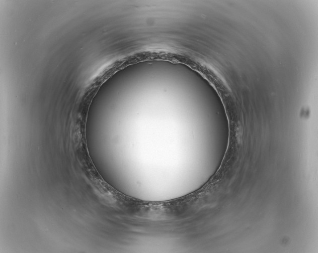 X0000093600968200710291140