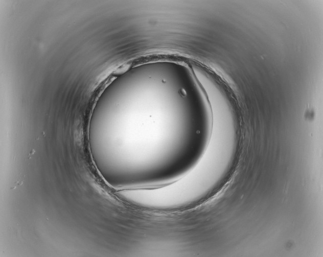 X0000093600969200710291140