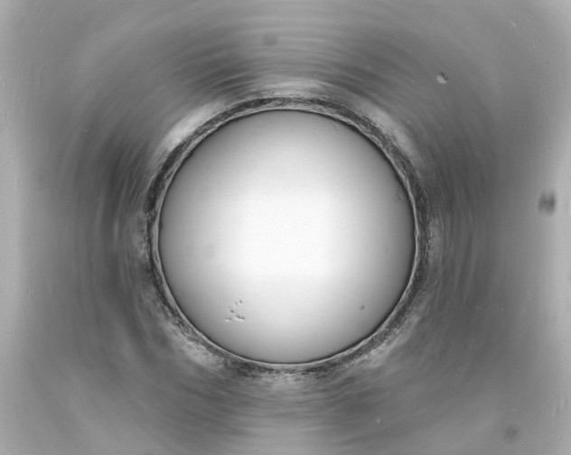 X0000093600970200710291140