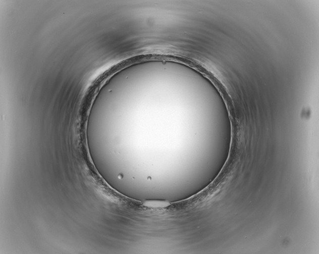 X0000093600971200710291140