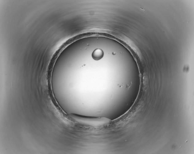 X0000093600972200710291140