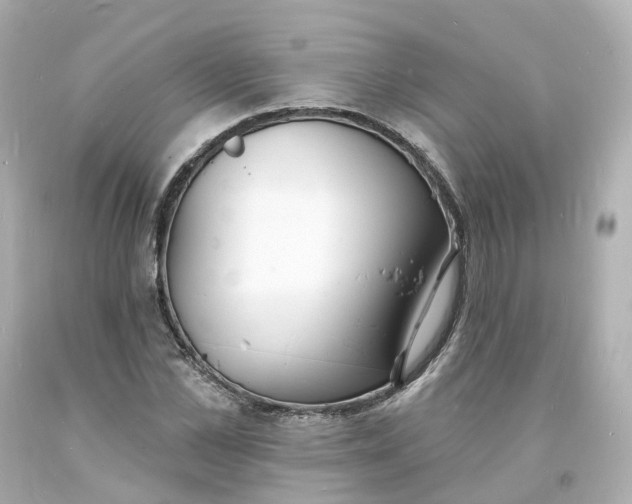 X0000093600973200710291140