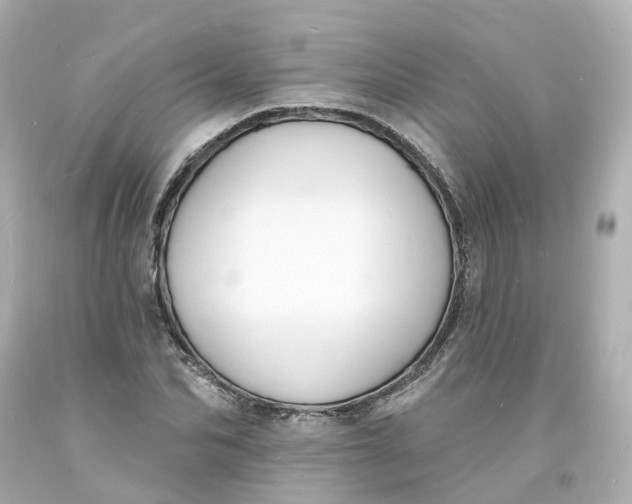 X0000093600974200710291140