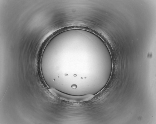 X0000093600975200710291140