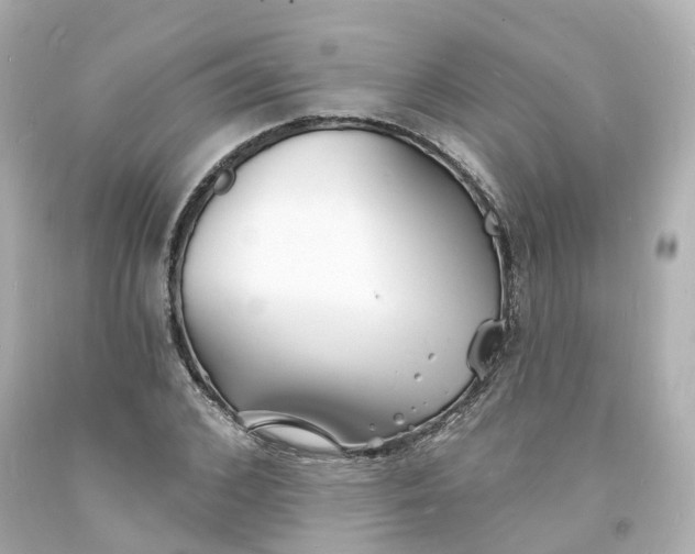 X0000093600976200710291140