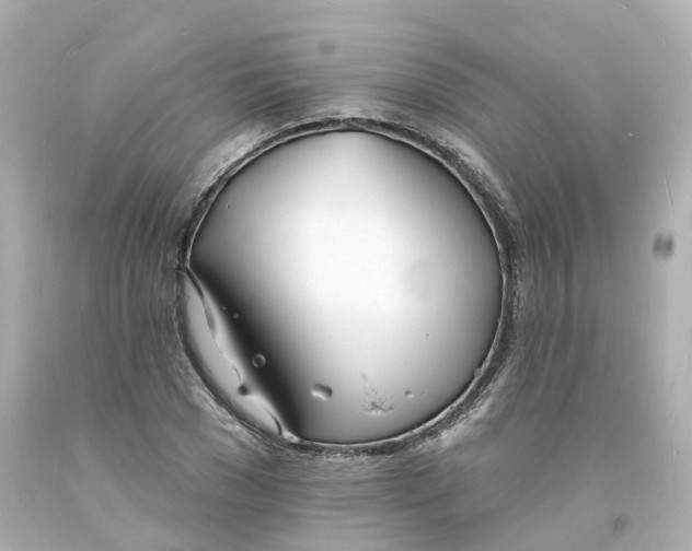 X0000093600977200710291140