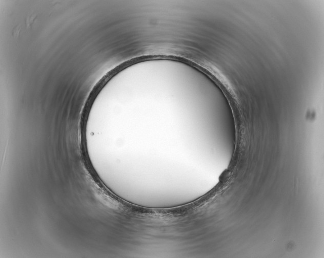 X0000093600980200710291140