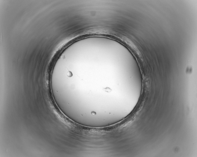 X0000093600981200710291140