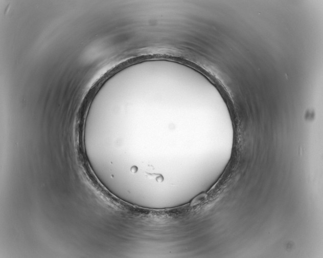 X0000093600983200710291140