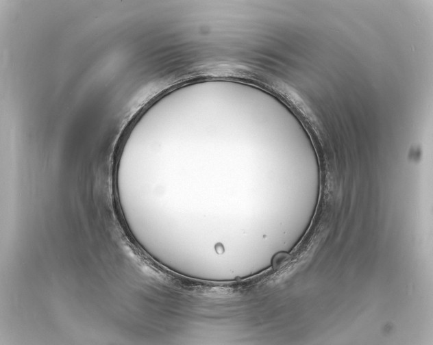 X0000093600986200710291140