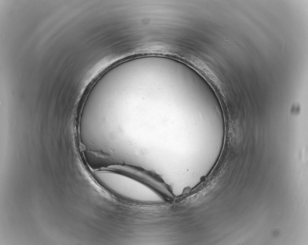 X0000093600989200710291140