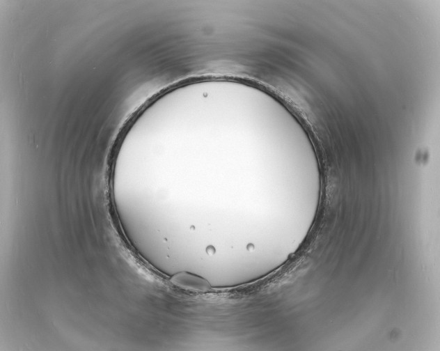 X0000093600990200710291140