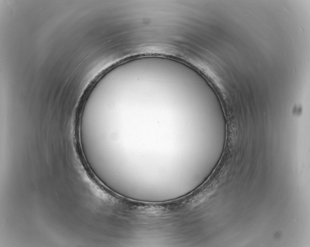 X0000093600991200710291140