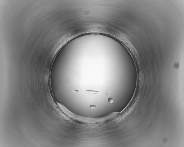 X0000093600993200710291140