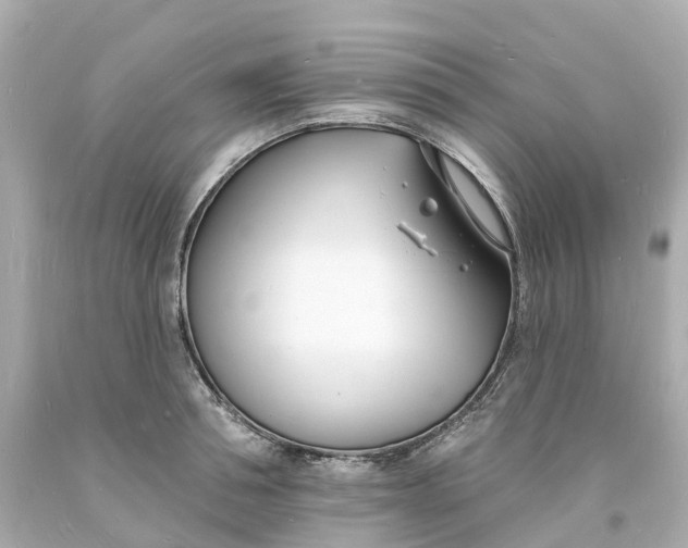 X0000093600994200710291140