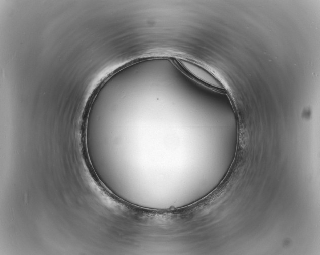 X0000093600995200710291140