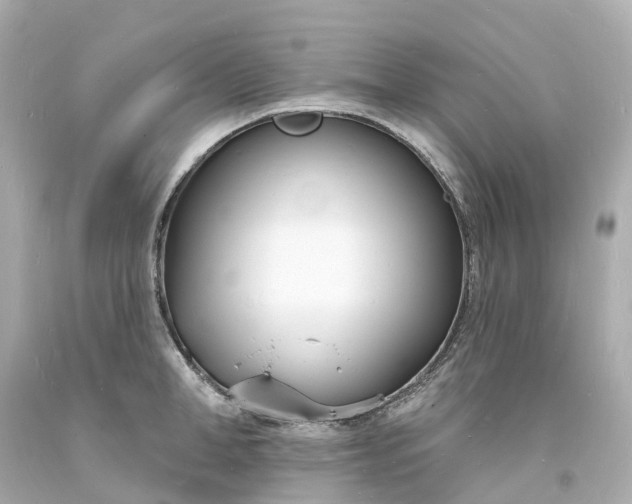 X0000093600998200710291140