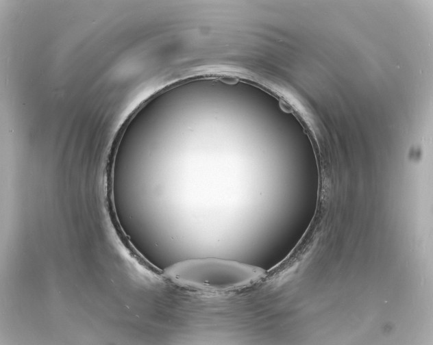 X0000093600999200710291140