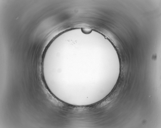 X0000093601000200710291140