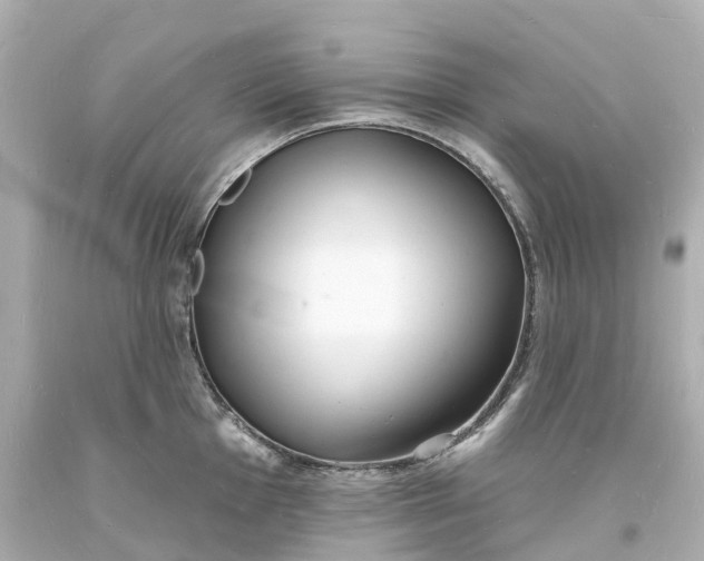 X0000093601001200710291140