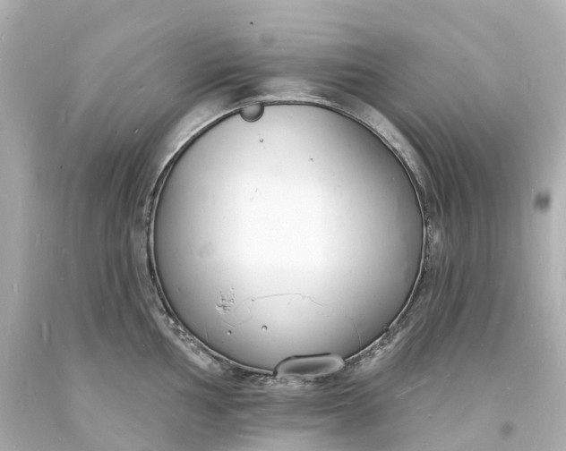 X0000093601002200710291140