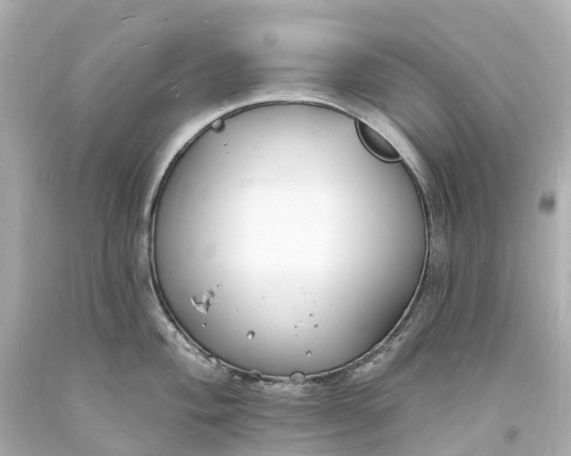 X0000093601004200710291140