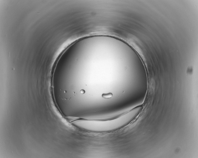 X0000093601005200710291140