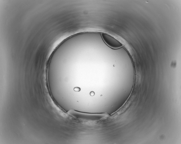 X0000093601006200710291140