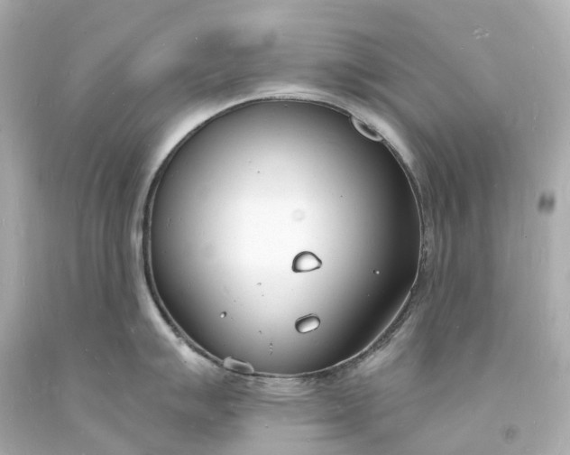 X0000093601007200710291140