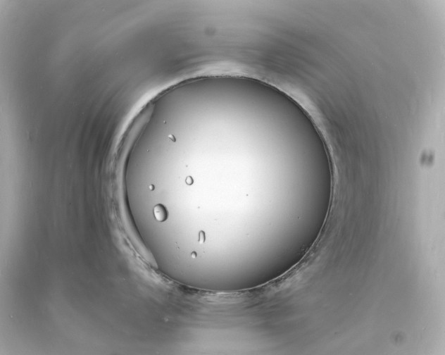 X0000093601008200710291140