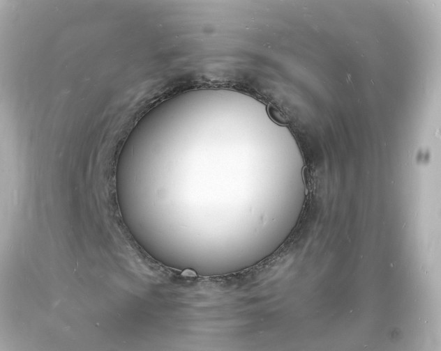 X0000093601009200710291139