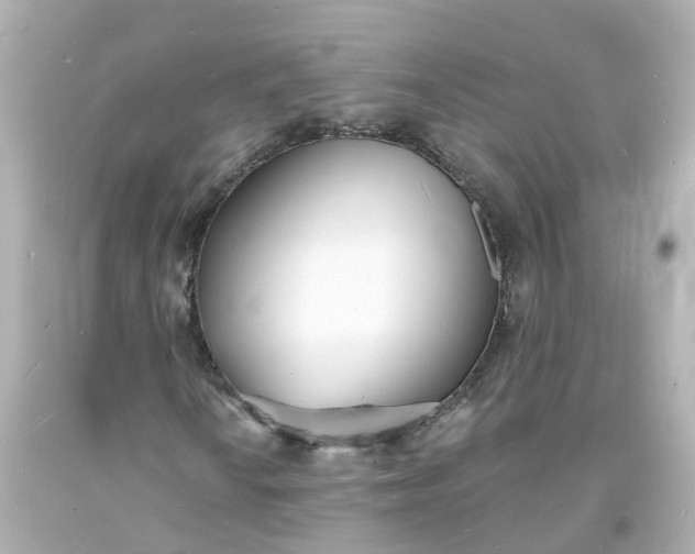 X0000093601010200710291139