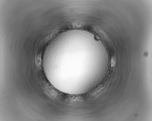 X0000093601011200710291139