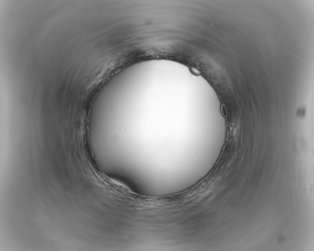 X0000093601012200710291139