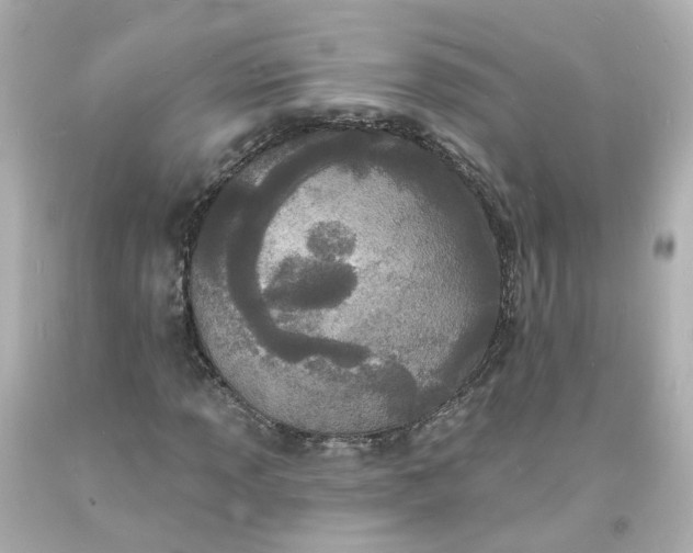 X0000093601013200710291139