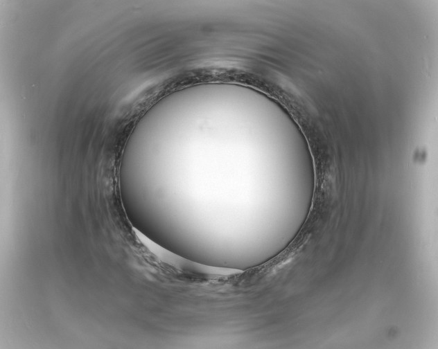 X0000093601014200710291139