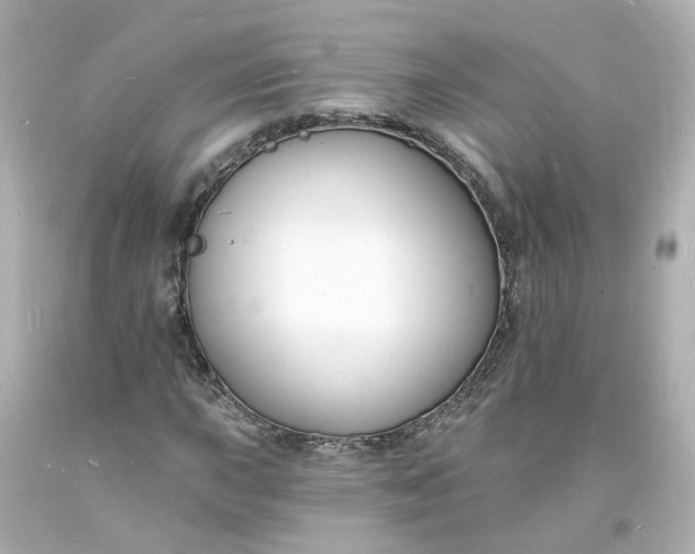 X0000093601015200710291139