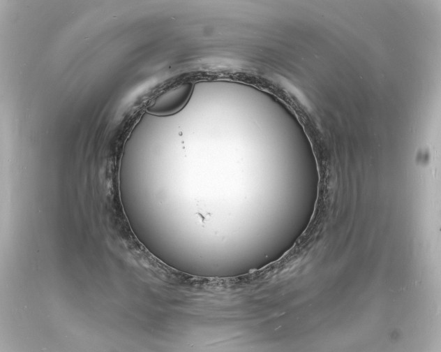 X0000093601016200710291139