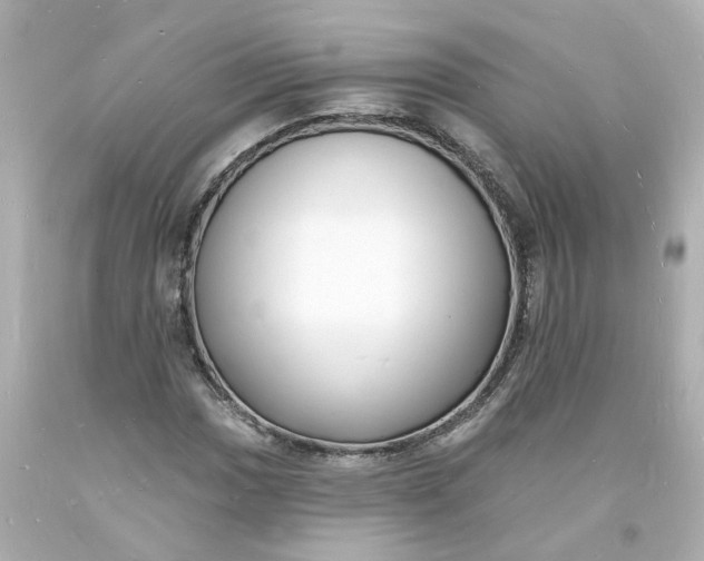 X0000093601017200710291139