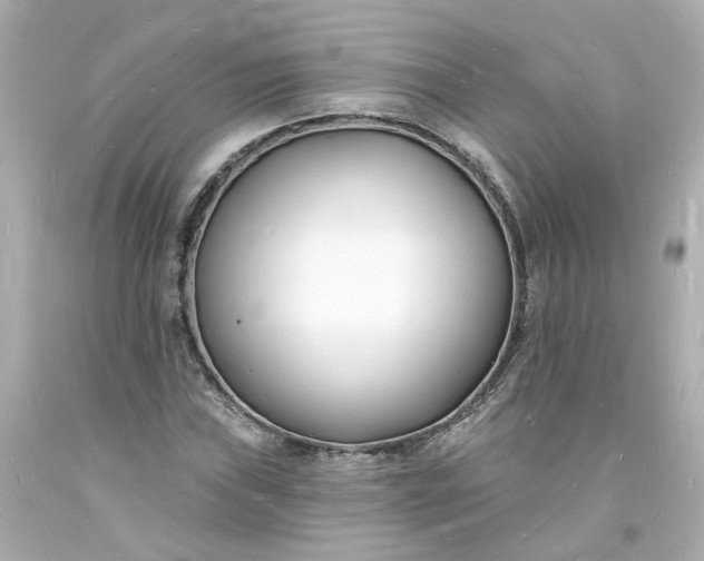 X0000093601019200710291139