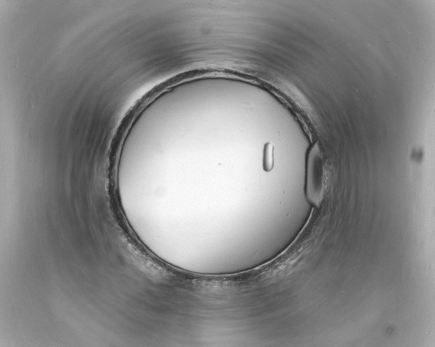 X0000093601020200710291139